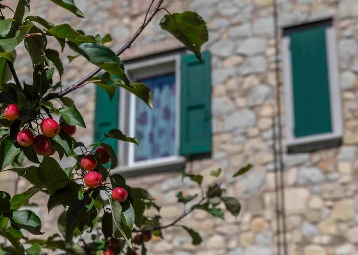 Podere P Ratizzoli Ii Piano 托莱